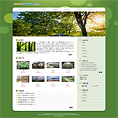 企业网站-林业A19