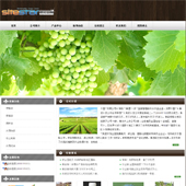 企业网站-农业A17